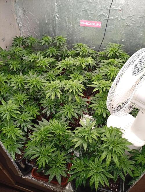 Permanent Marker v bunkru. Week 5 - ...