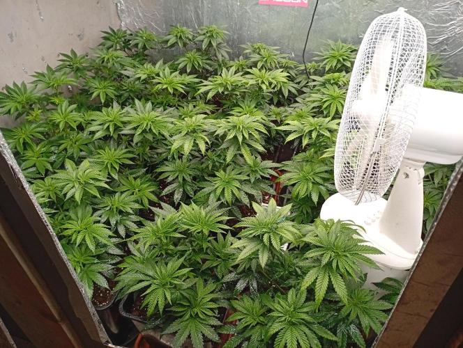 Permanent Marker v bunkru. Week 5 - ...