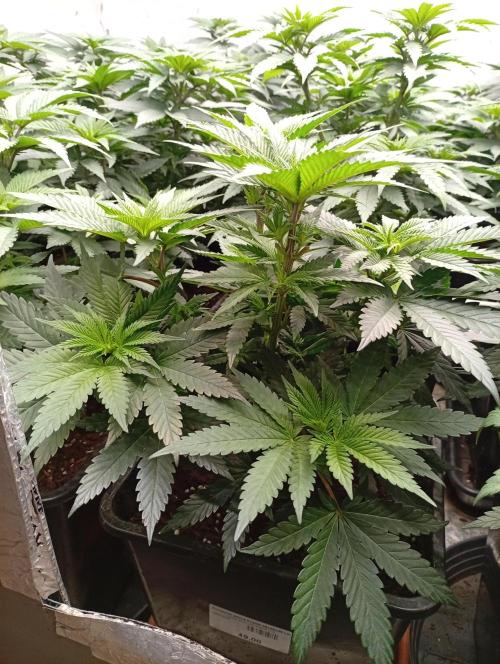 Permanent Marker v bunkru. Week 6 - ...