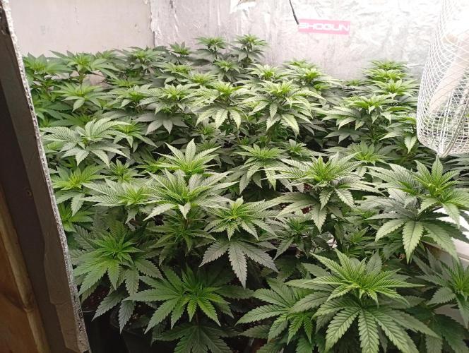 Permanent Marker v bunkru. Week 6 - ....