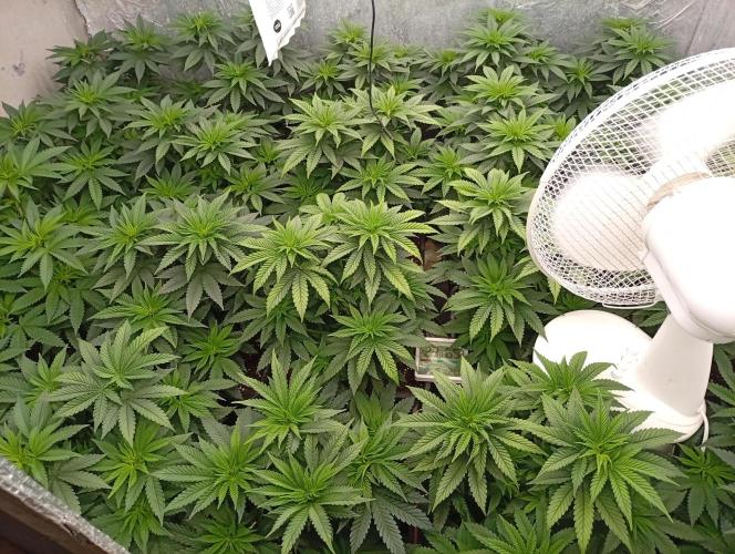 Permanent Marker v bunkru. Week 6 - ...