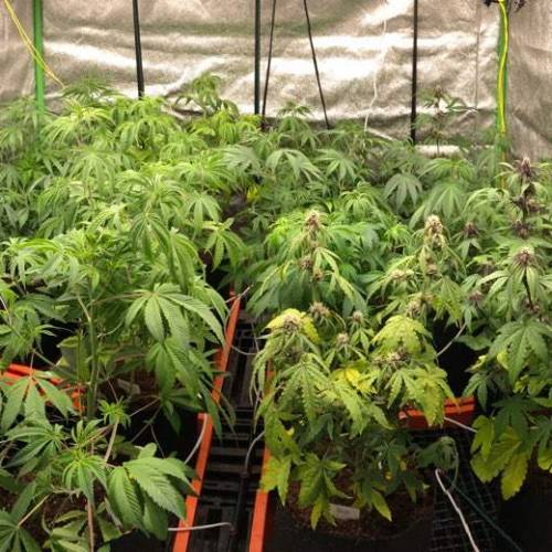 Manna ver 1.01. Week 5 - [20200114 화요일]큰 사이즈