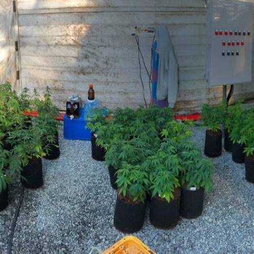 Manna ver 1.01. Week 5 - [20200114 화요일]큼-작음-중간