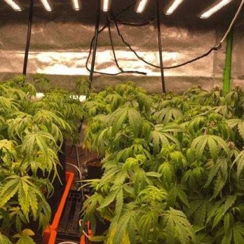 Manna ver 1.01. Week 5 - [20200115 수요일]no.1