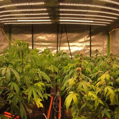 Manna ver 1.01. Week 5 - [20200115 수요일]no.3