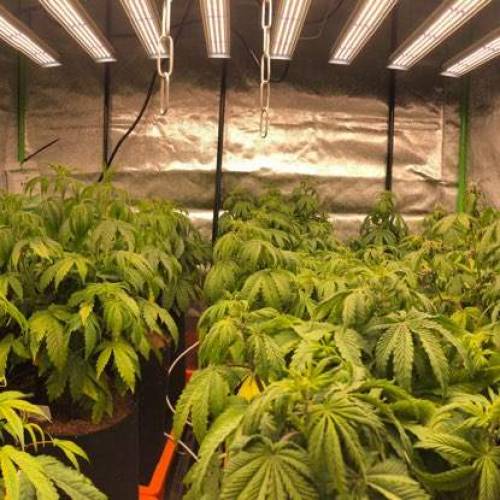 Manna ver 1.01. Week 5 - [20200117 금요일]no.2