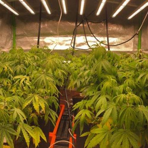 Manna ver 1.01. Week 5 - [20200117 금요일]no.3