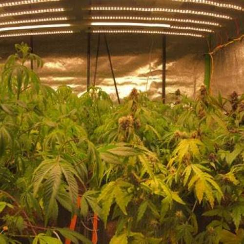 Manna ver 1.01. Week 5 - [20200117 금요일]no.1