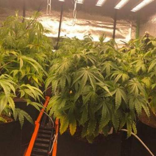 Manna ver 1.01. Week 6 - [20200122-수요일]no.2-41