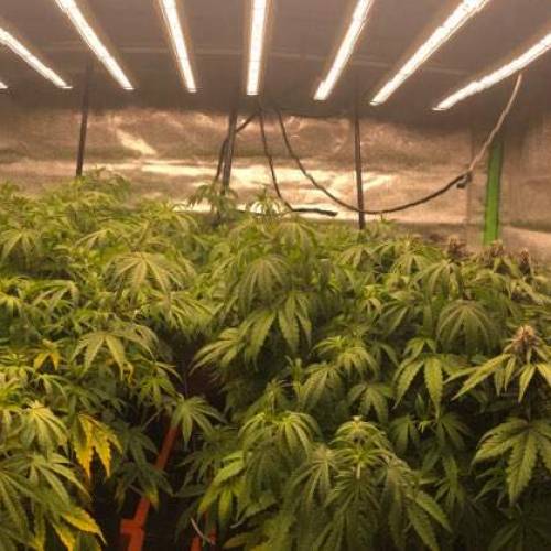 Manna ver 1.01. Week 6 - [20200122-수요일]no.1-47