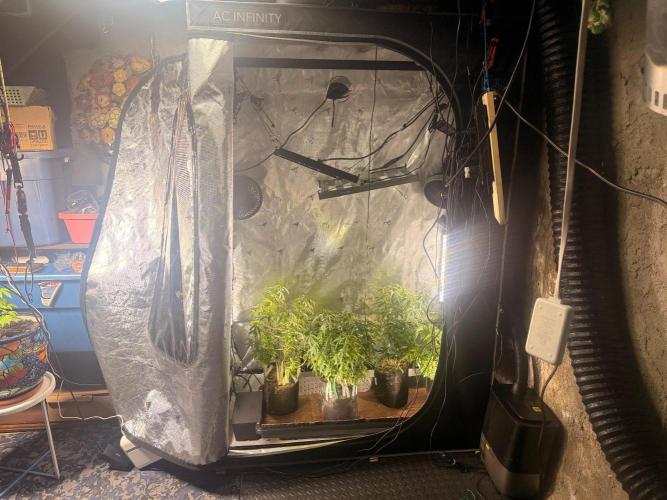 Blueberry Blizzy Run. Week 4
