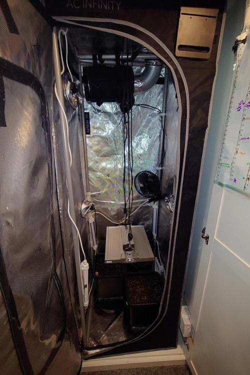 Grown in NarNia 2. Week 0 - All set up ready to go.
Autopot not set up yet. 
Top feed only till Veg