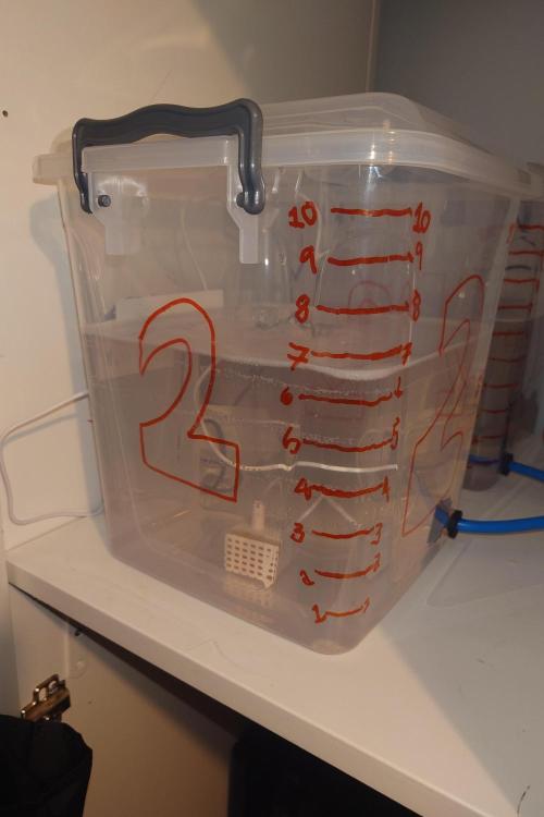 Grown in NarNia 2. Week 5