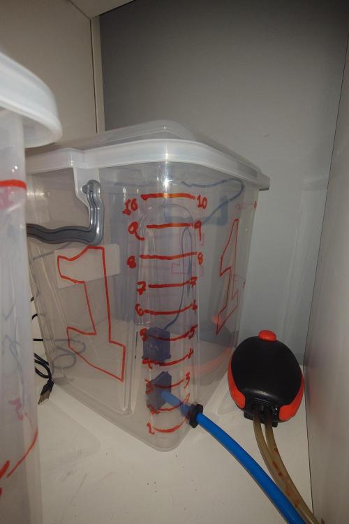 Grown in NarNia 2. Week 5