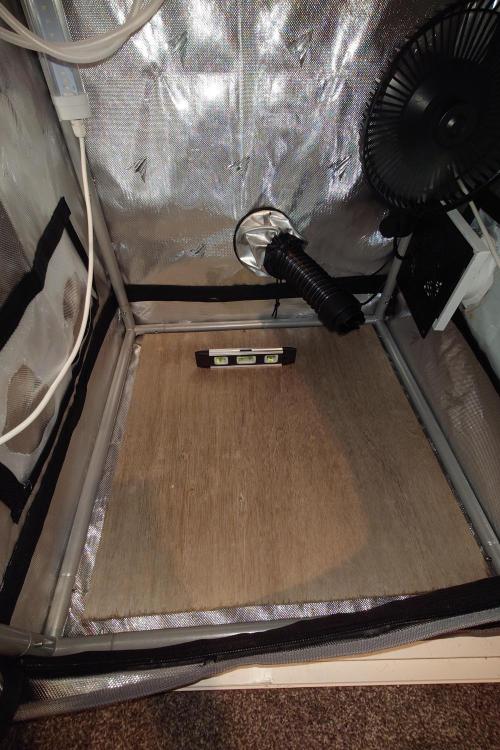 Grown in NarNia 2. Week 5