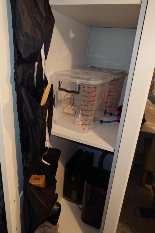 Grown in NarNia 2. Week 5