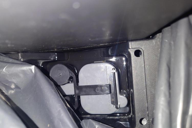 Grown in NarNia 2. Week 5