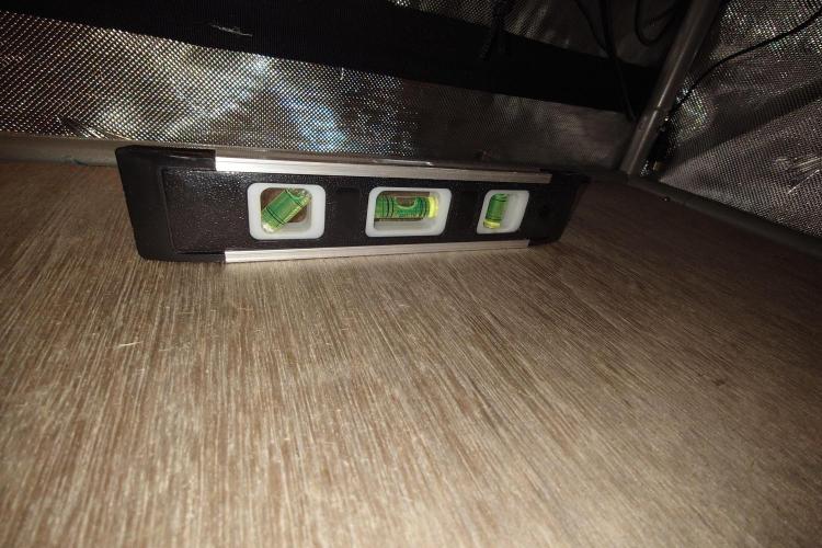 Grown in NarNia 2. Week 5