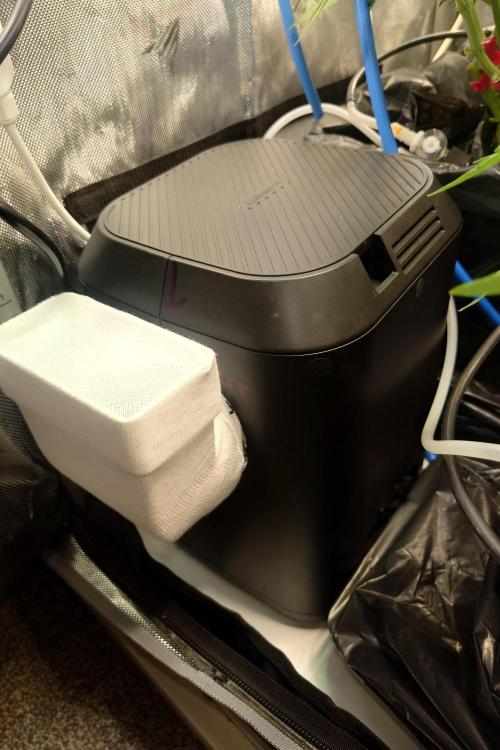 Grown in NarNia 2. Week 5