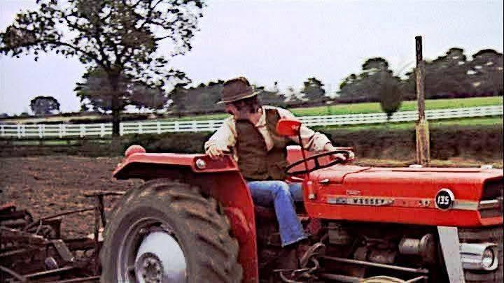 Strawberry gorilla auto. Week 0