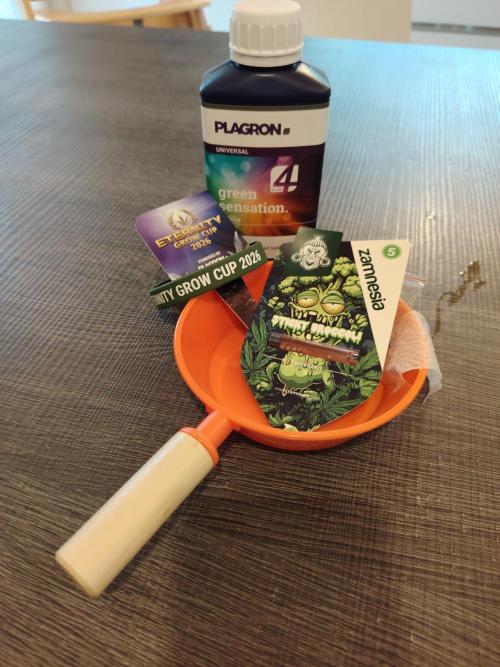 CampaCavallo e Sticky Broccoli on HGC26. Week 0 - 3.1.26