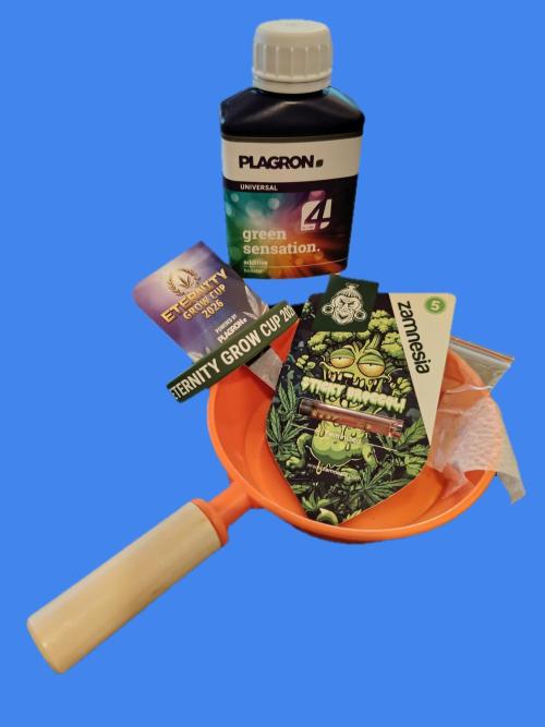 CampaCavallo e Sticky Broccoli on HGC26. Week 0 - 3.1.26