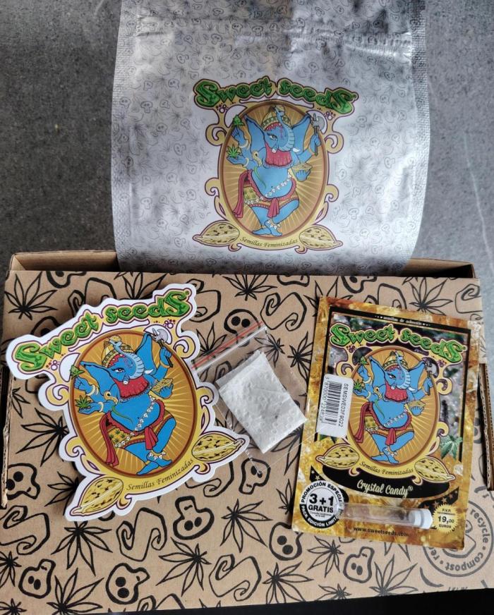 Crystal Candy da CampaCavallo. Week 0 - 8.1.26