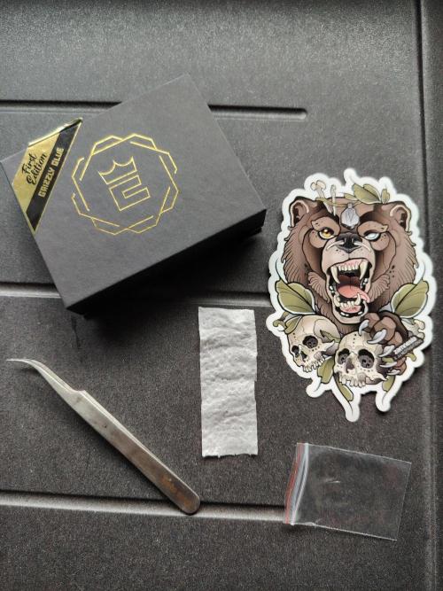 Grizzly Glue 🐻 da CampaCavallo. Week 0 - 15.10.25