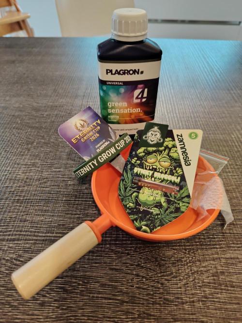 Sticky Broccoli EGC26 CampaCavallo. Week 0 - 3.1.26