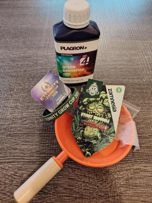 Sticky Broccoli EGC26 CampaCavallo. Week 0 - 3.1.26