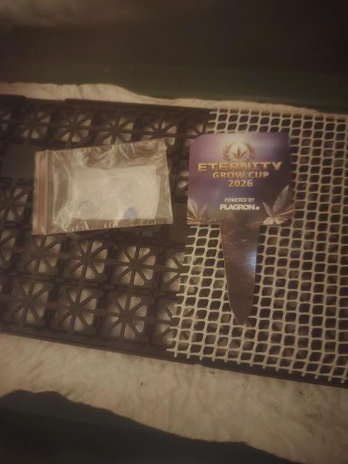 Sticky Broccoli EGC26 CampaCavallo. Week 0 - 3.1.26