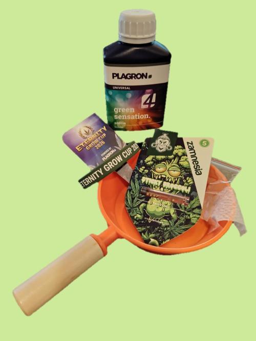 Sticky Broccoli EGC26 CampaCavallo. Week 0 - 3.1.26