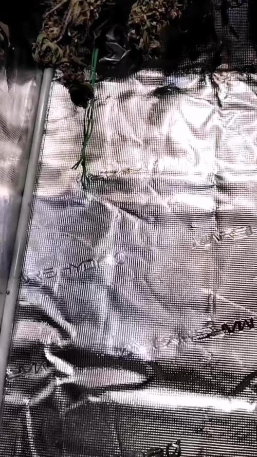 Bay Burger per CampaCavallo 🍔