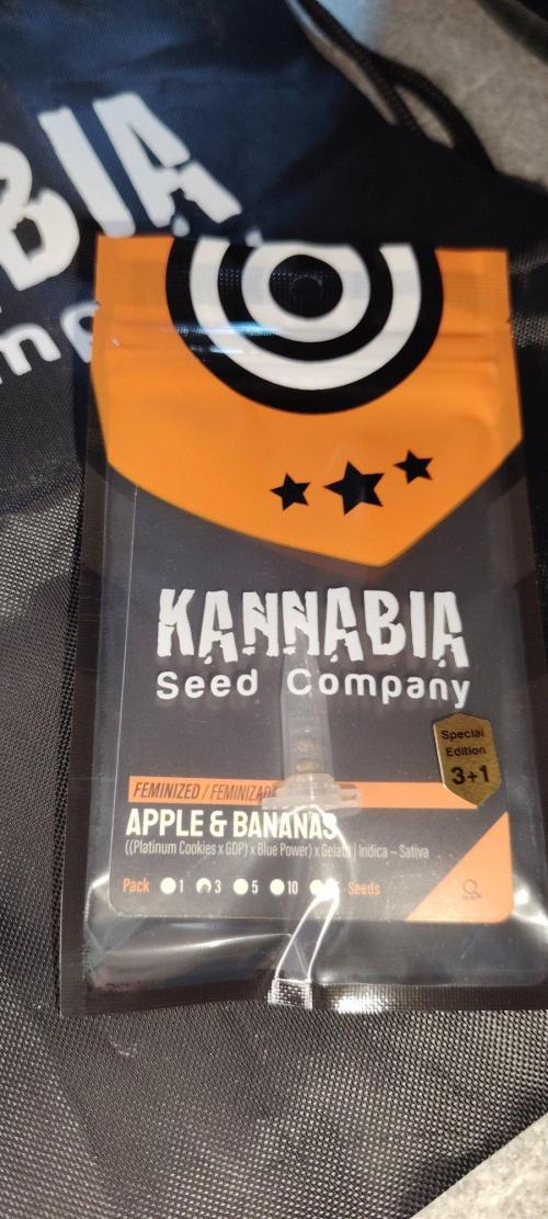 Apple & Banana alla CampaCavallo. Week 0