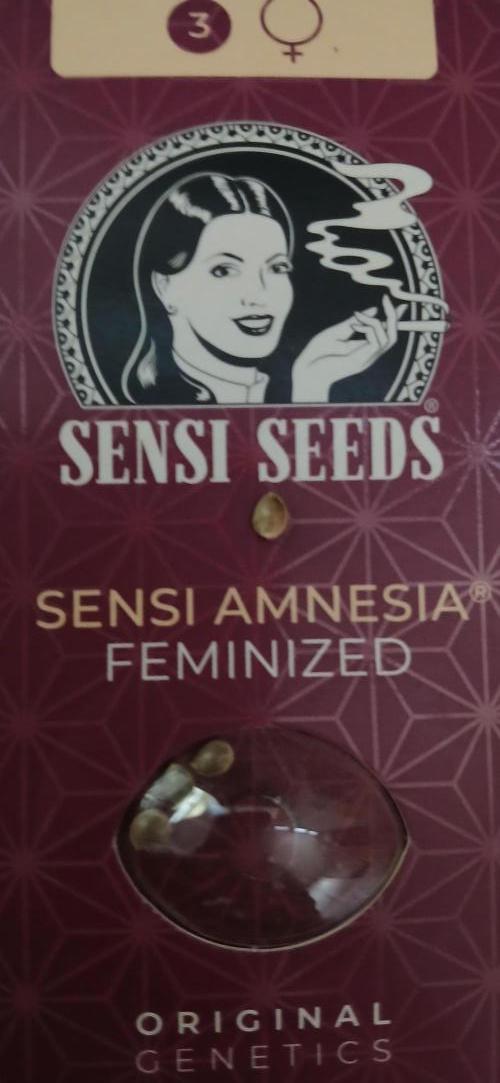 Amnesia scrog. Week 0