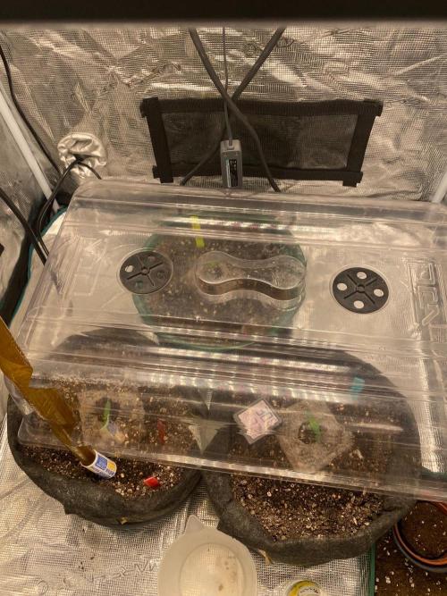 Mixed autos indoor. Week 0