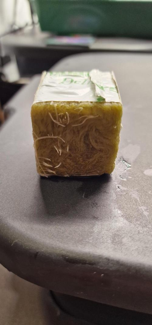 Think Tank & Chimera Cut. Week 1