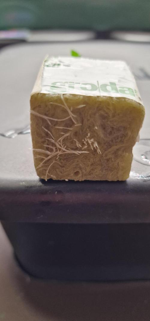 Think Tank & Chimera Cut. Week 1