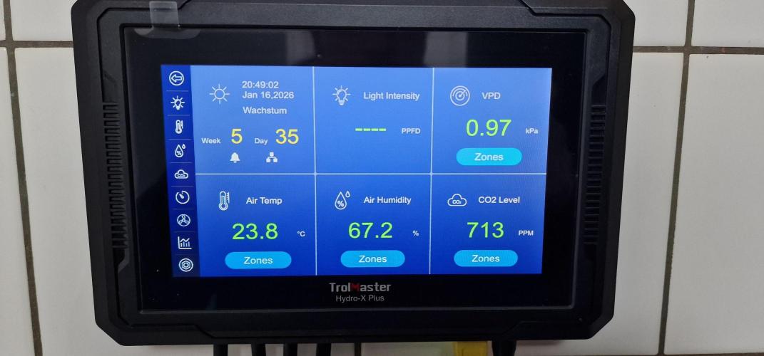 Think Tank & Chimera Cut. Week 5