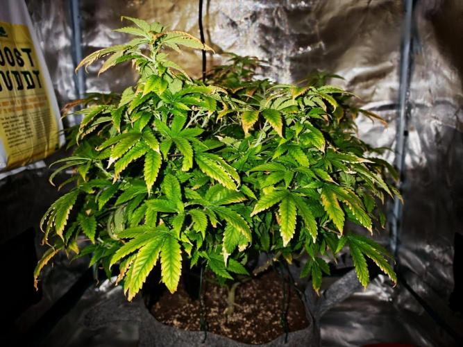 Tohle se nemělo stát.... Week 24