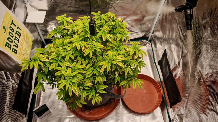 Tohle se nemělo stát.... Week 26