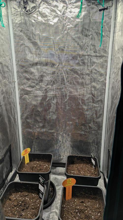 First Time 🍒💢🤭. Week 0