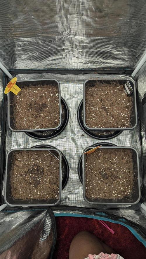 First Time 🍒💢🤭. Week 0