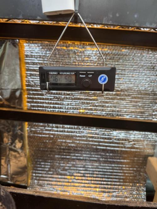 The grow show. Week 3 - Average temps and R/H