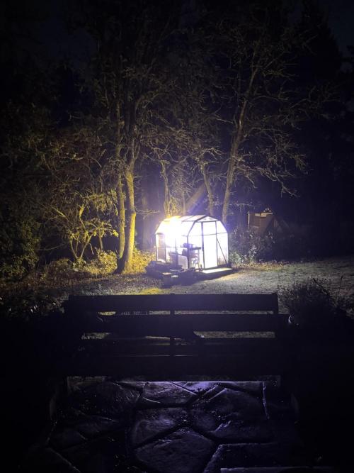 The grow show. Week 3