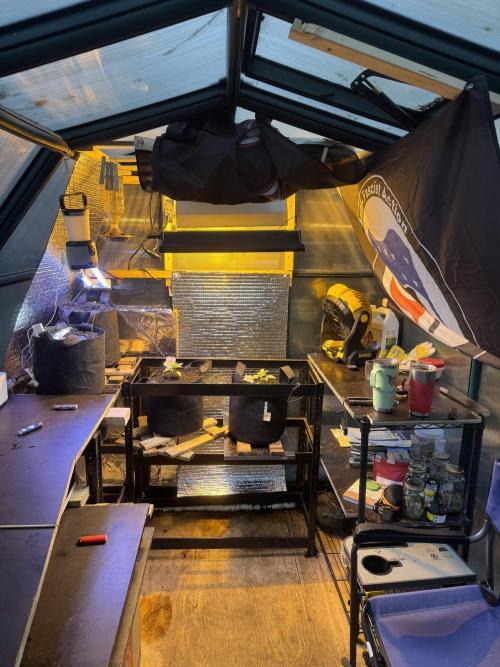 The grow show. Week 3