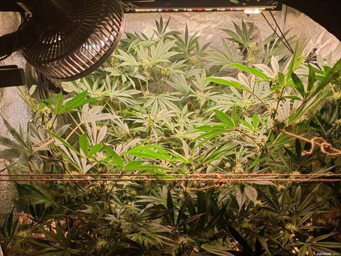 Green Gelato 💚 foto.. Week 13