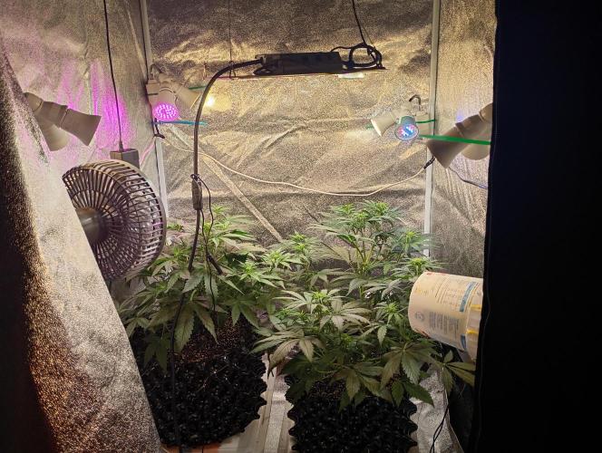RQS vs Barney's (Auto). Week 6