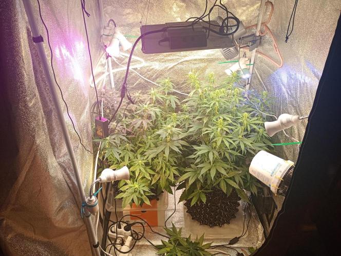 RQS vs Barney's (Auto). Week 7