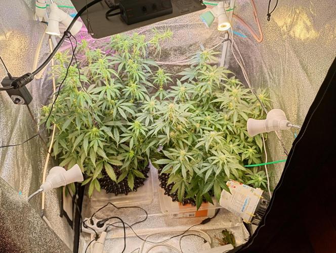 RQS vs Barney's (Auto). Week 7 - День 45 